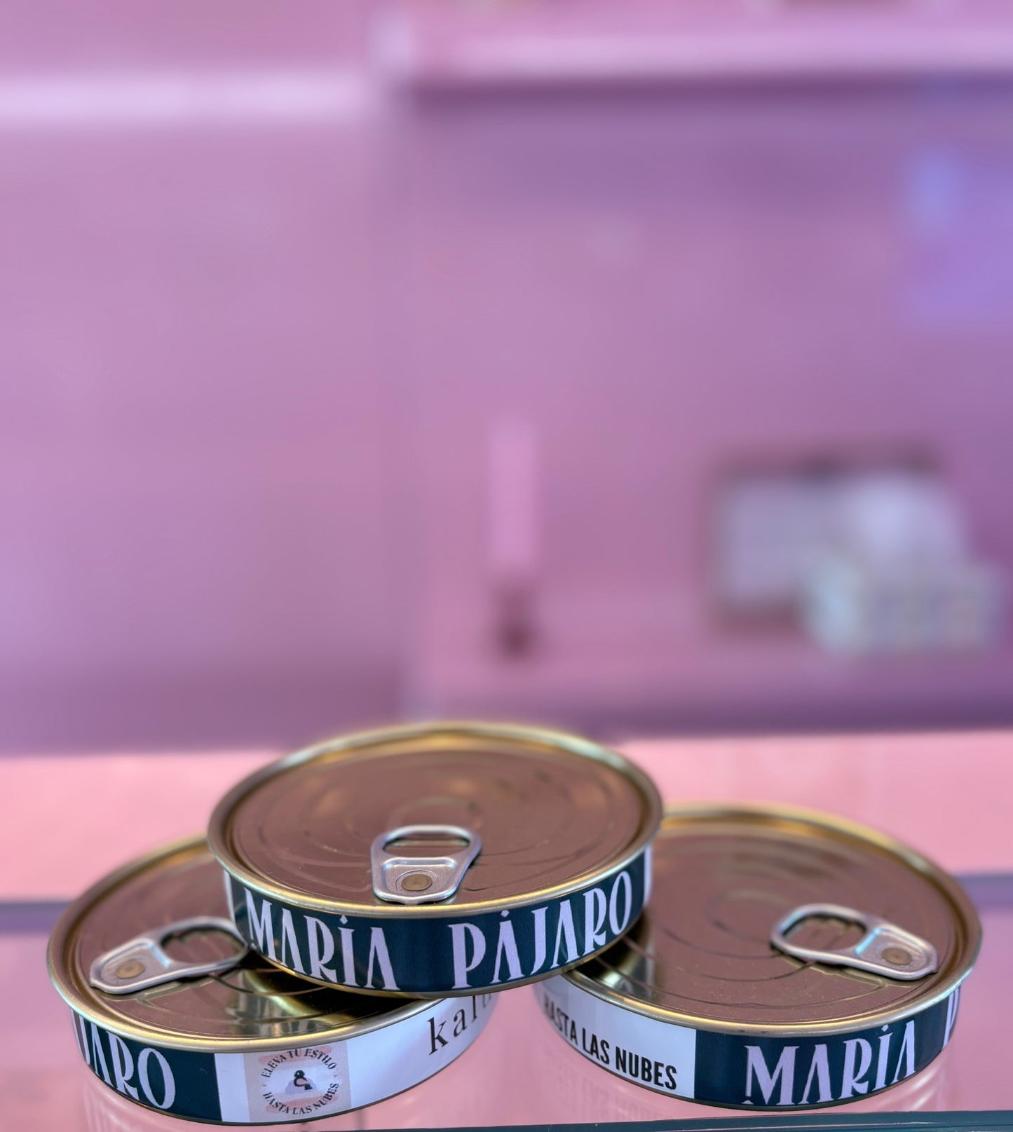 Pendientes_Maria_Pajaro_05