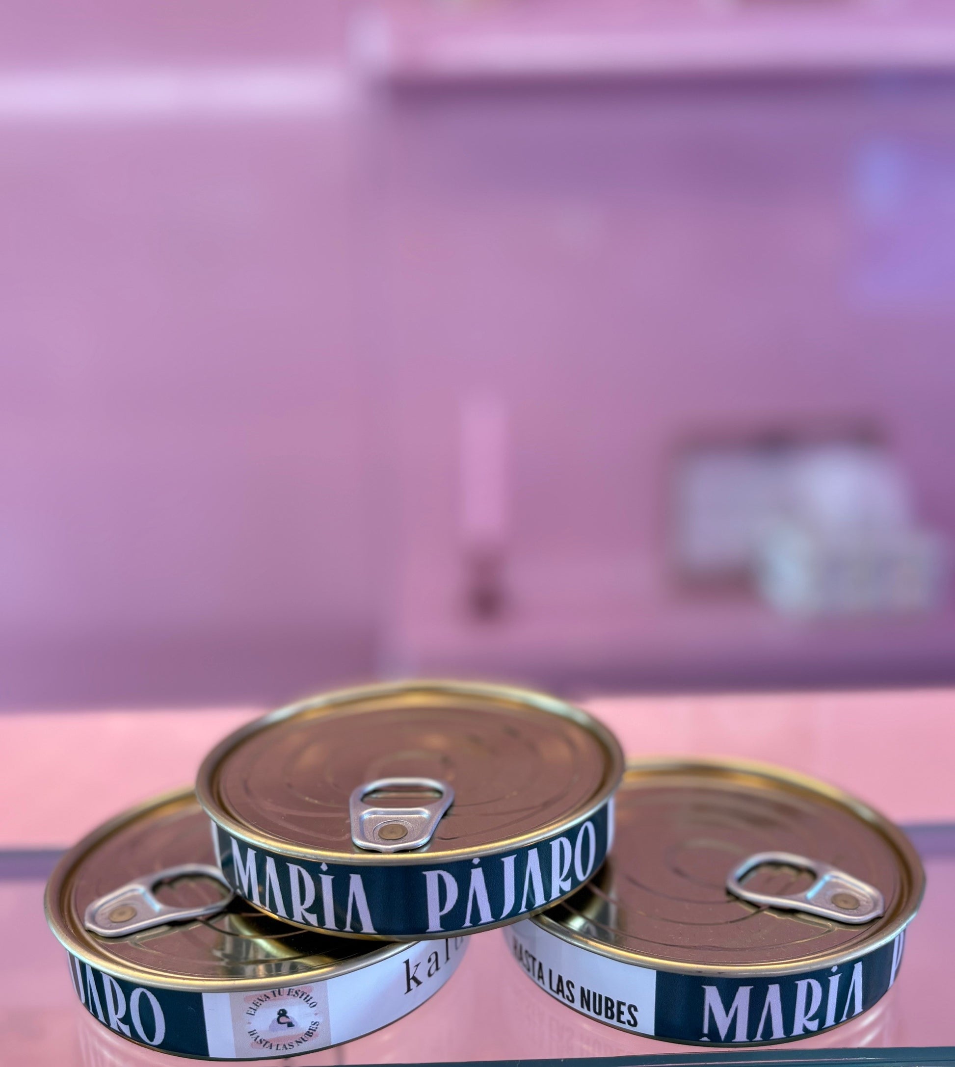Pendientes_Maria_Pajaro_05